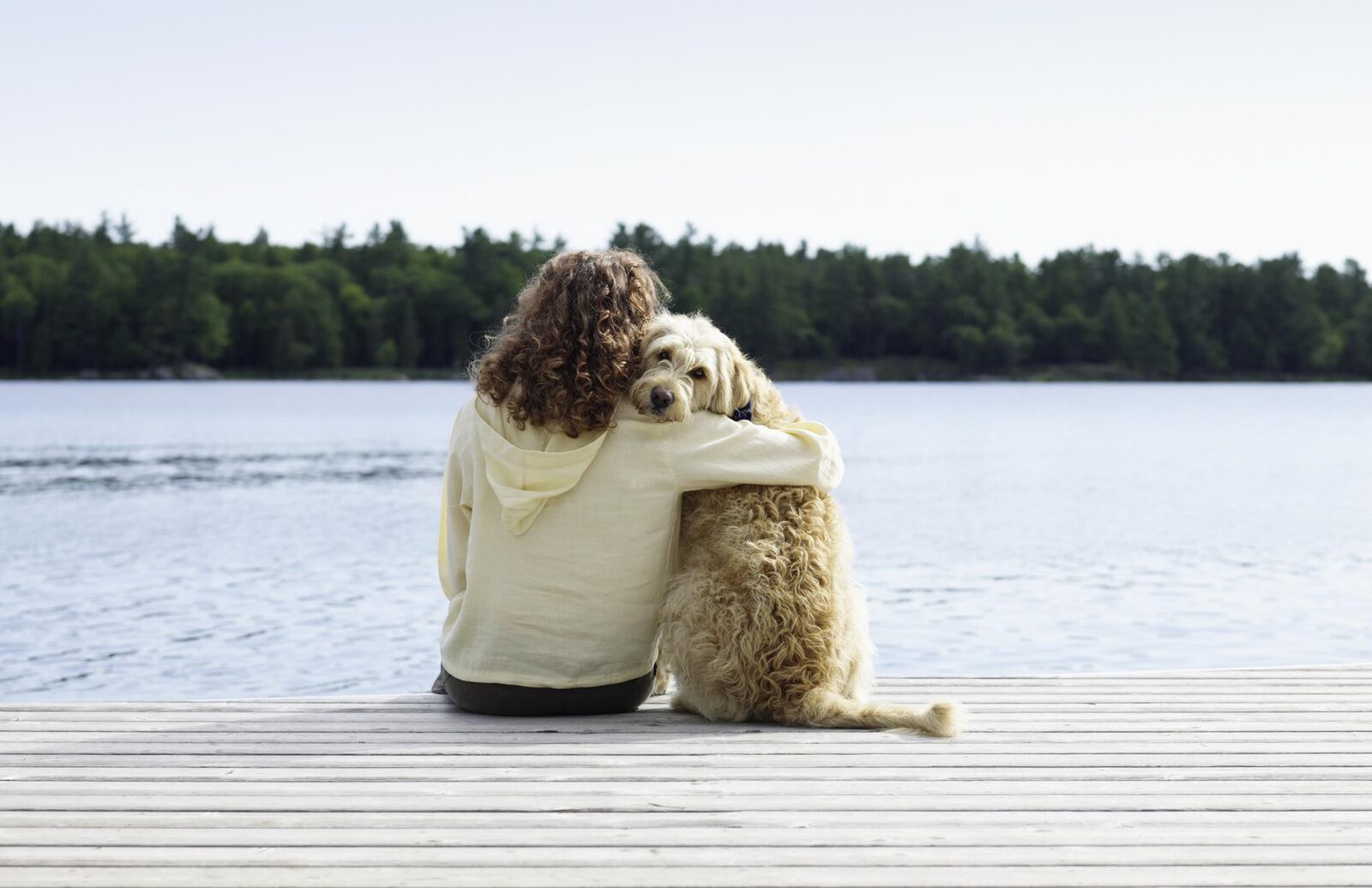 Vacances hiver: partir en vacances avec ou sans son animal